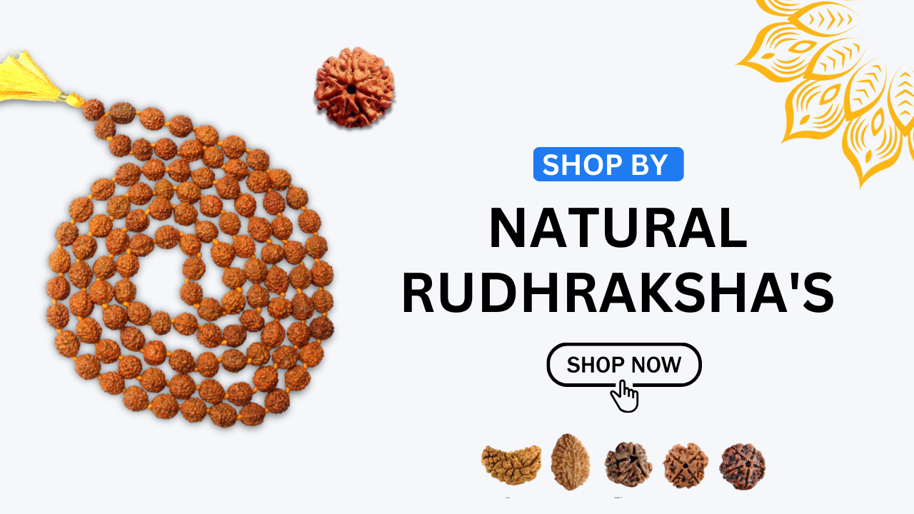 Rudraksha collection